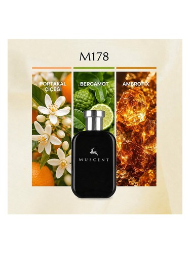 M178 bottle