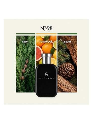 N398 bottle