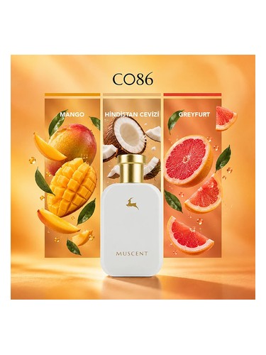 C086 bottle
