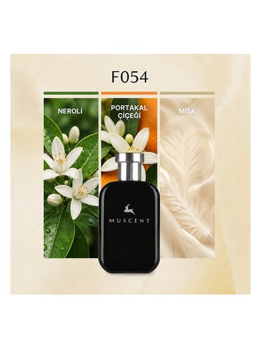 F054 bottle