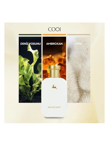 C001 bottle
