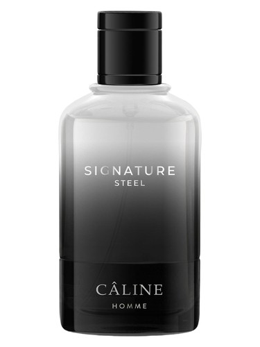 Signature Steel bottle