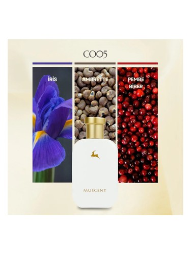 C005 bottle