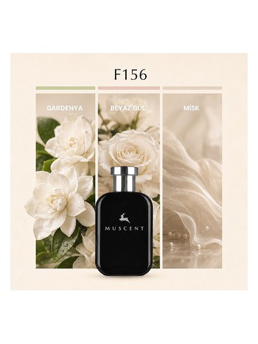 F156 bottle