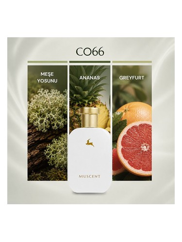 C066 bottle