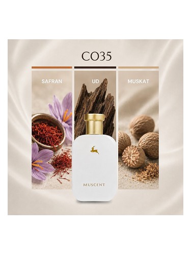C035 bottle