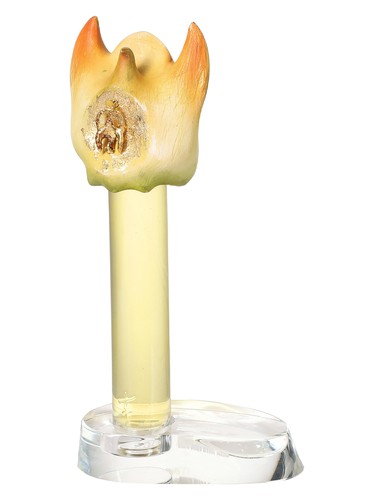 Xī Hé 羲和 bottle