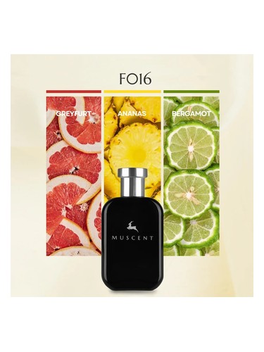 F016 bottle