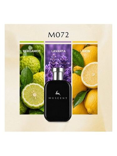 M072 bottle