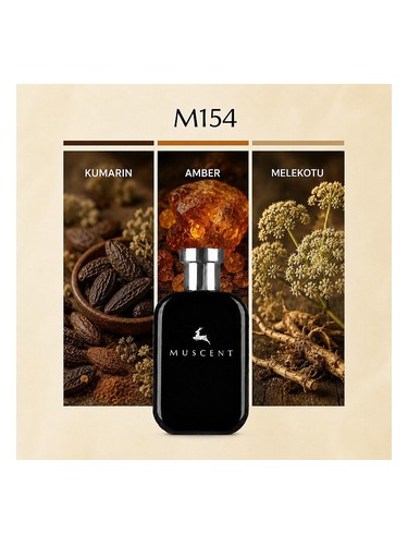 M154 bottle