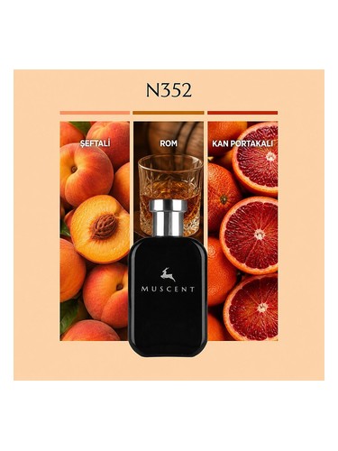 N352 bottle