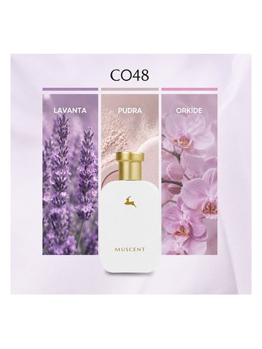 C048 bottle