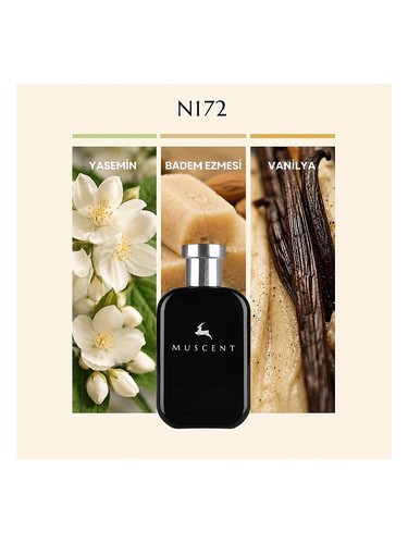 N172 bottle