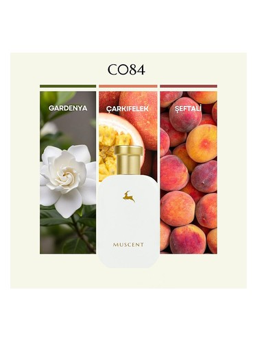 C084 bottle