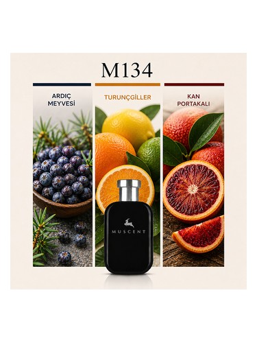 M134 bottle