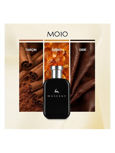 M010 bottle