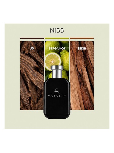N155 bottle