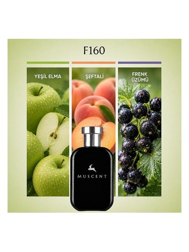 F160 bottle