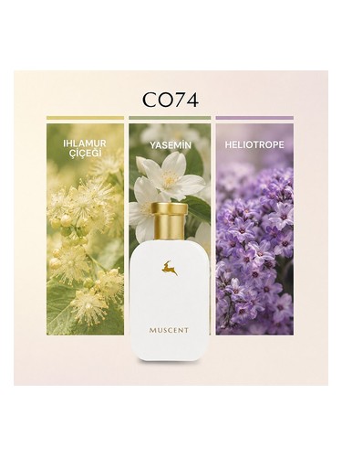 C074 bottle