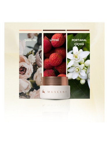Narcotic Bloom Solid Perfume bottle