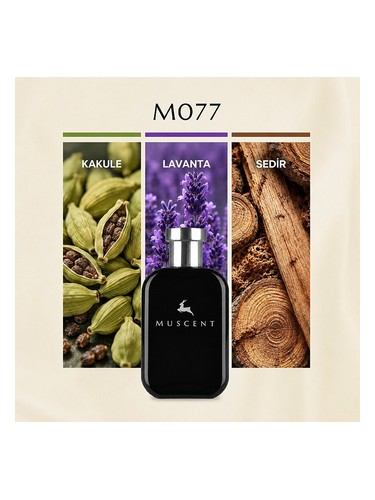 M077 bottle