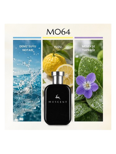 M064 bottle