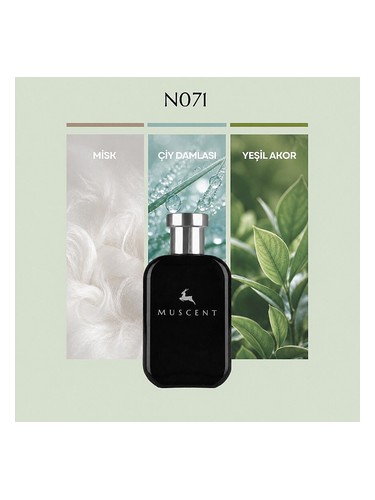N071 bottle