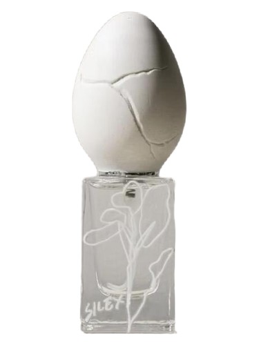 Silex bottle