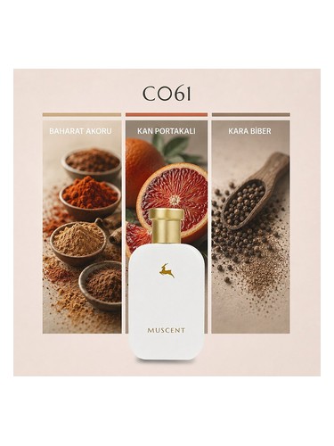 C061 bottle