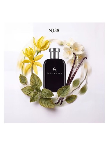 N388 bottle
