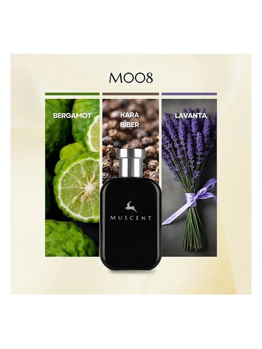 M008 bottle