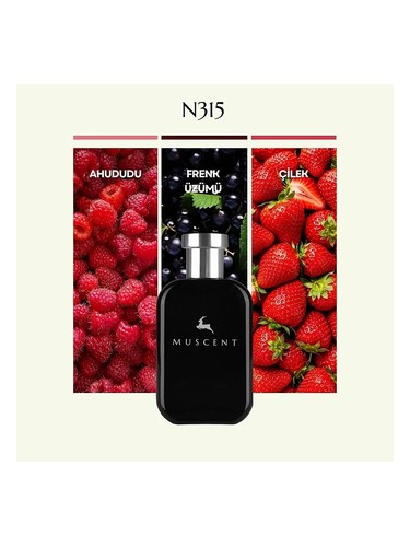 N315 bottle