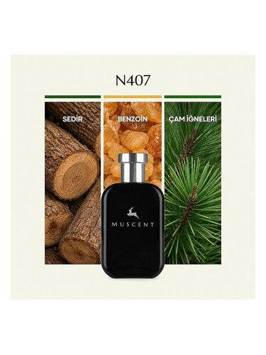 N407 bottle