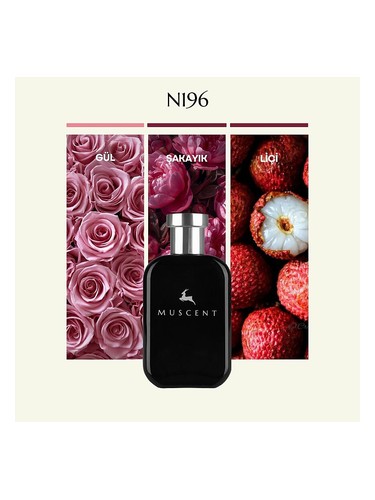 N196 bottle
