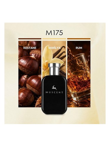 M175 bottle