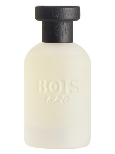 Musk 1920 bottle
