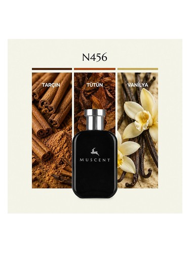 N456 bottle
