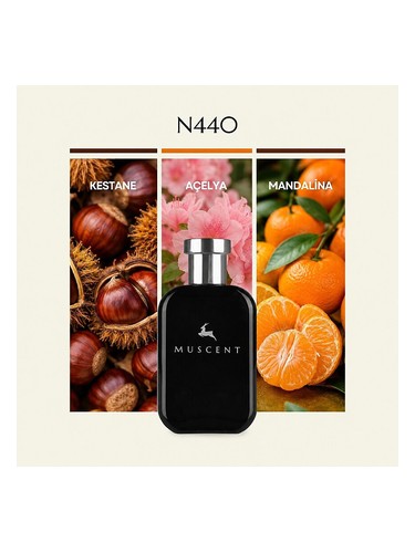 N440 bottle