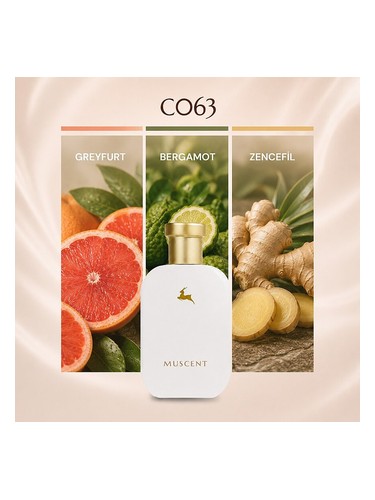 C063 bottle