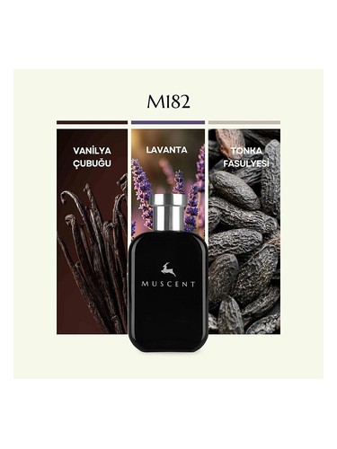 M182 bottle