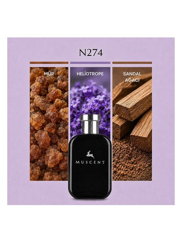 N274 bottle