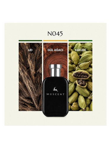 N045 bottle