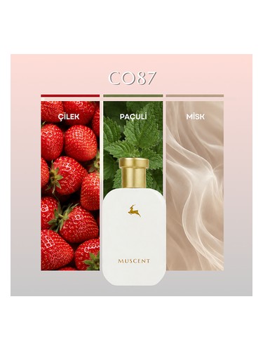 C087 bottle