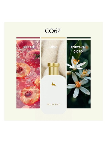 C067 bottle
