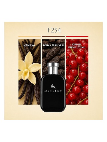 F254 bottle