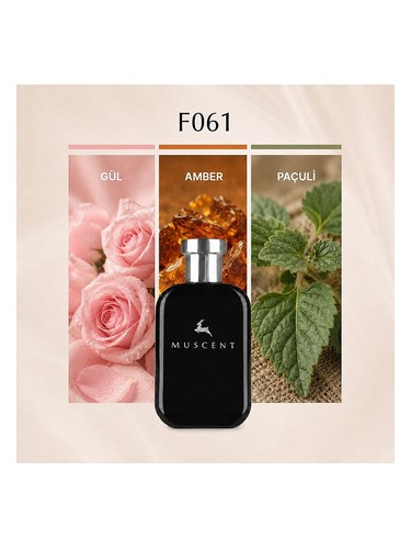 F061 bottle