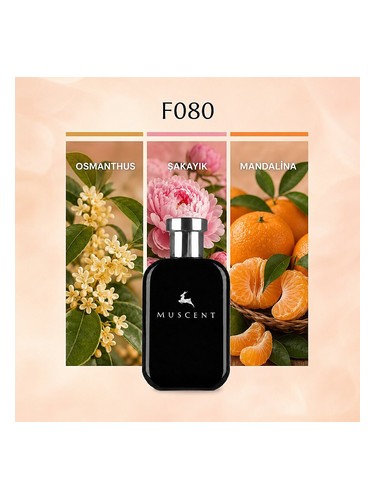 F080 bottle