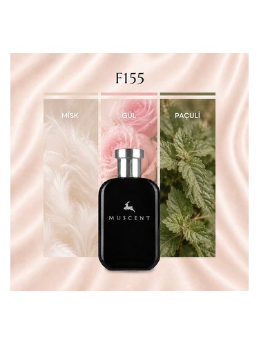 F155 bottle