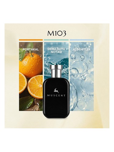 M103 bottle
