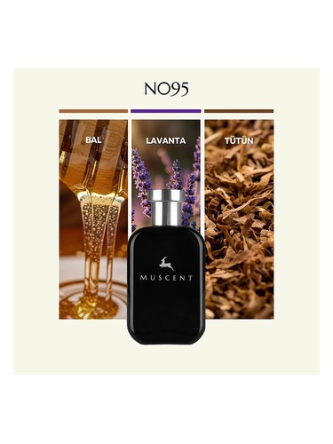 N095 bottle